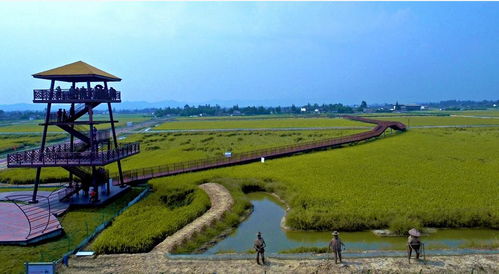 2018邛崍樂(lè)漁節(jié)暨漁香米豐收節(jié) 一場(chǎng)農(nóng)漁文化的盛宴邀您共赴